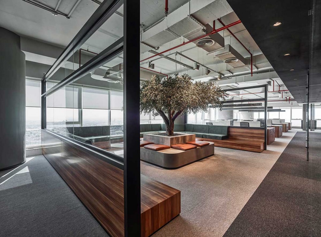 Olive tree takes centre stage in minimalist industrial office by Swiss  Bureau - Commercial Interior Design
