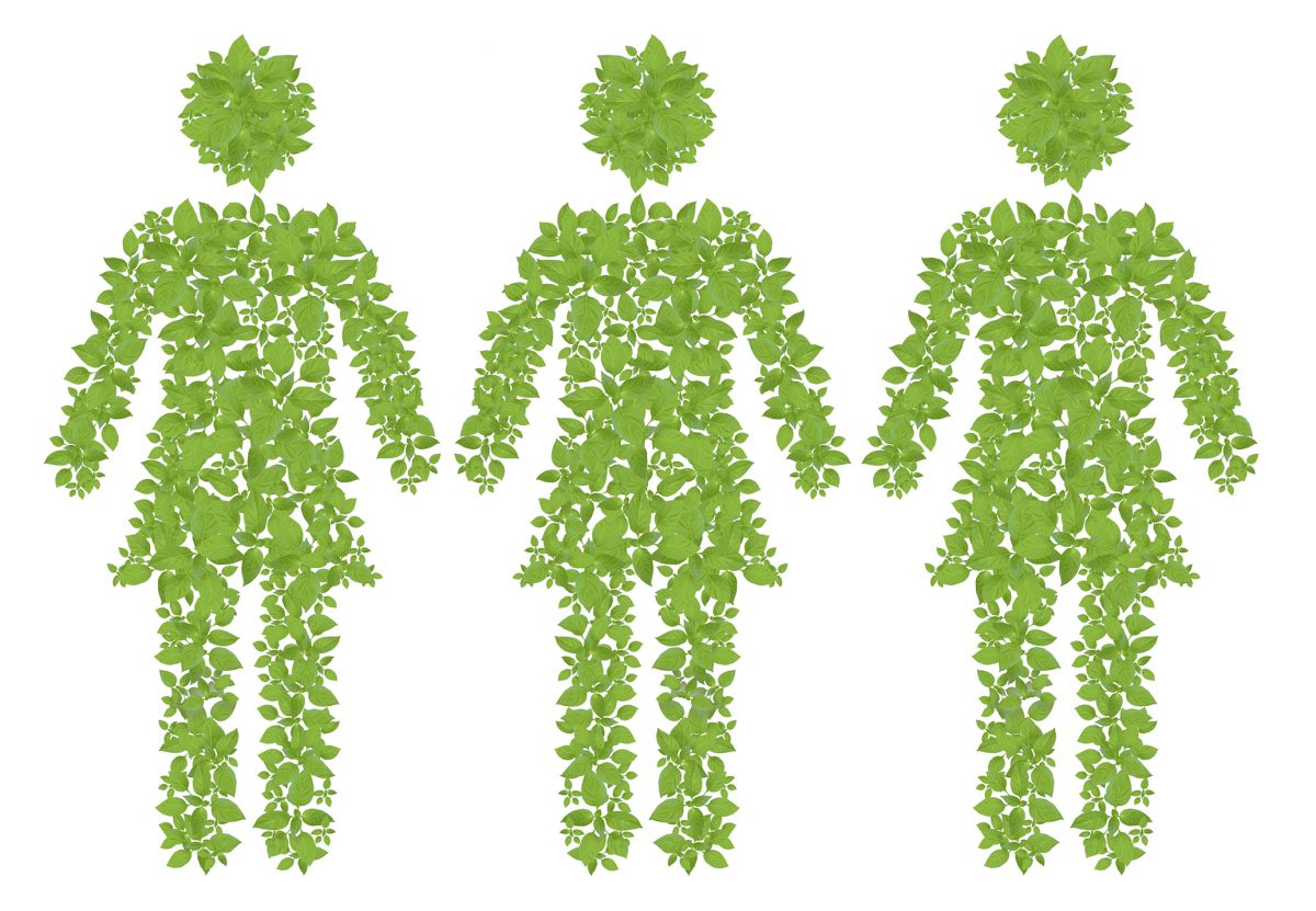 International Women�s Day 2022 Are female architects and