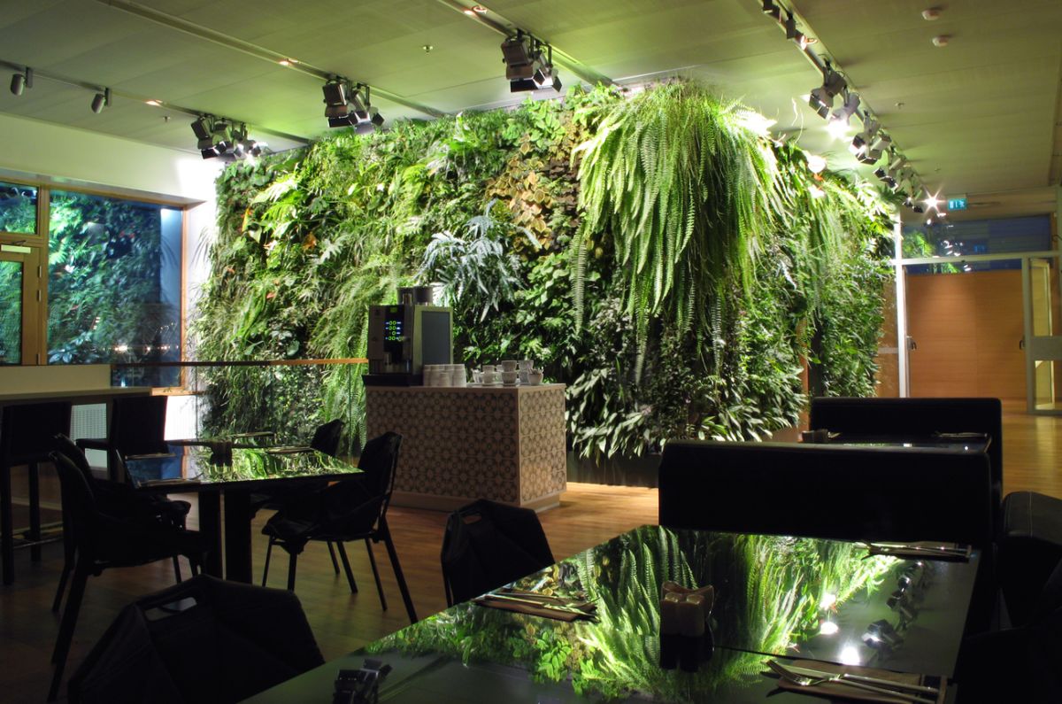 In pictures: 6 breathtaking indoor vertical gardens - , Projects