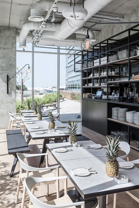 Case Study Cafe No 57 In Abu Dhabi Designed By Anarchitect Cid